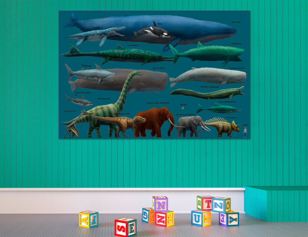 Animal Size Comparison Canvas Print #8084