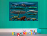 Animal Size Comparison Canvas Print #8084