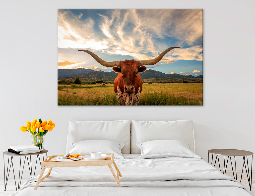 Texas Longhorn Canvas Print #8229