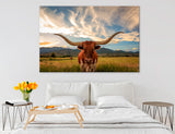 Texas Longhorn Canvas Print #8229