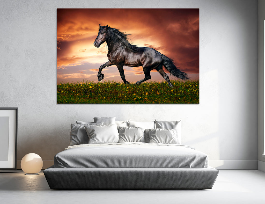 Black Mustang Horse Canvas Print #8062