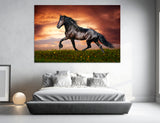 Black Mustang Horse Canvas Print #8062