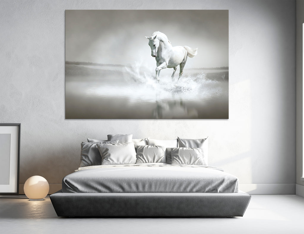 White Horse Canvas Print #8068