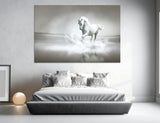 White Horse Canvas Print #8068