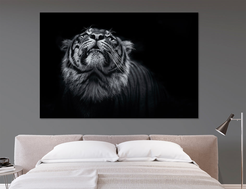BW Tiger Head Canvas Print #8079