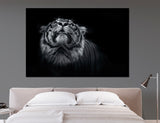 BW Tiger Head Canvas Print #8079