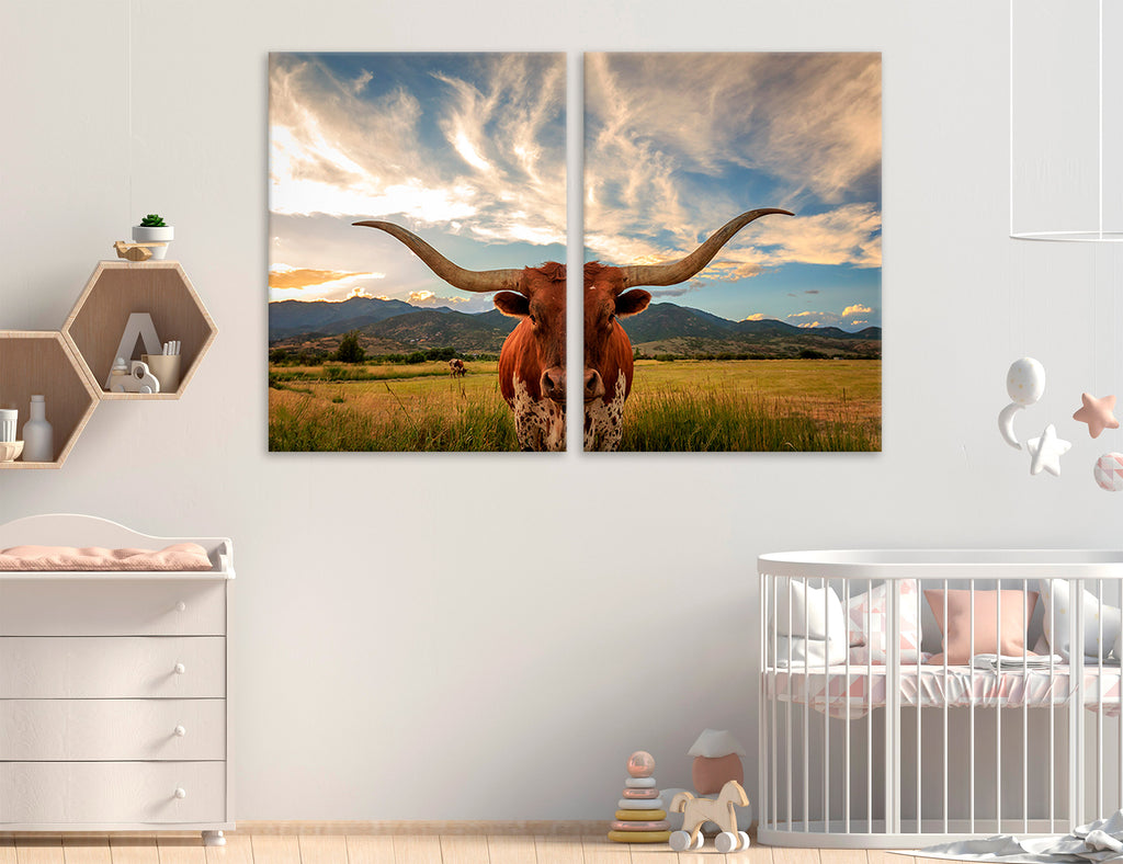 Texas Longhorn Canvas Print #8229