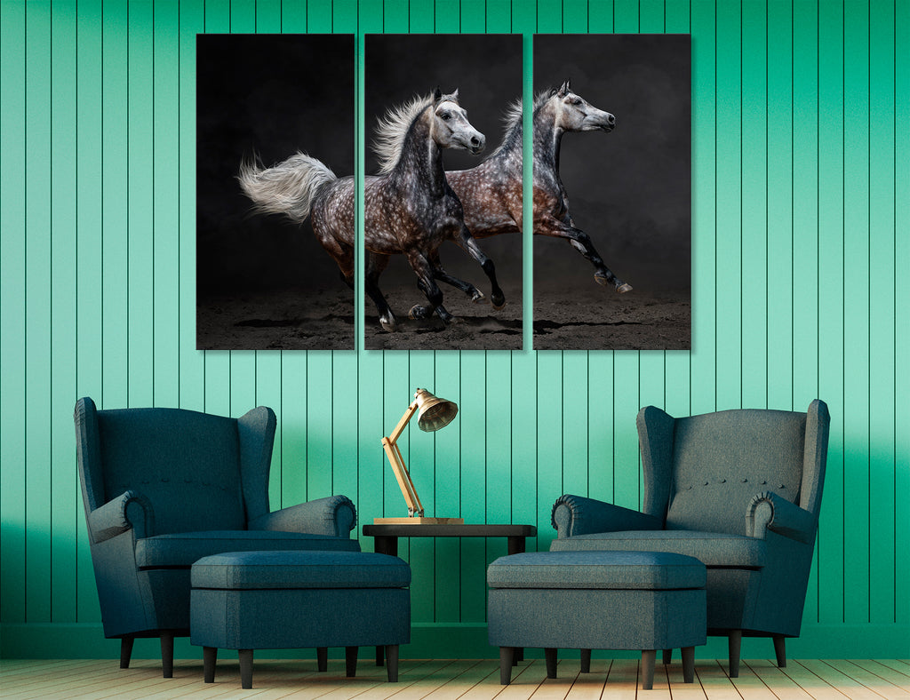 Wild Horses Canvas Print #8064