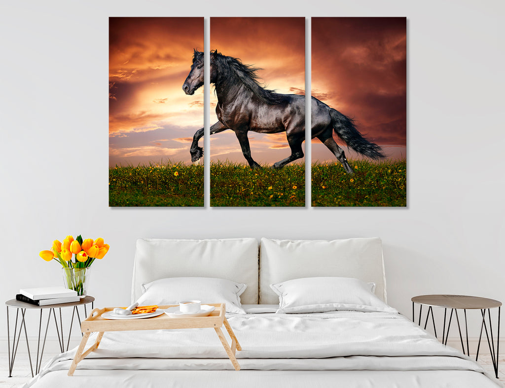 Black Mustang Horse Canvas Print #8062