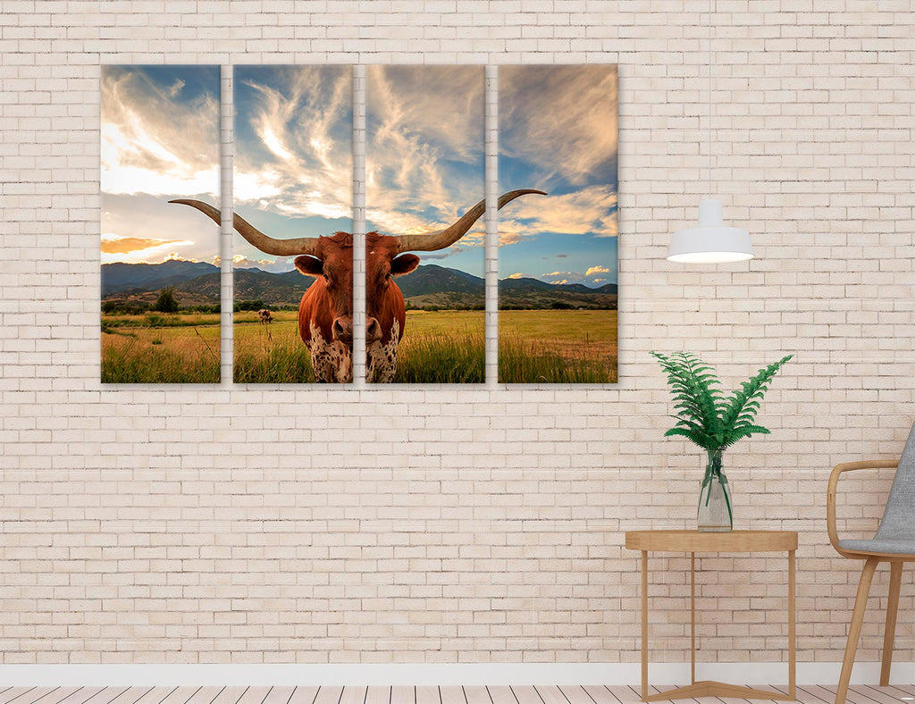 Texas Longhorn Canvas Print #8229