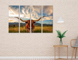 Texas Longhorn Canvas Print #8229