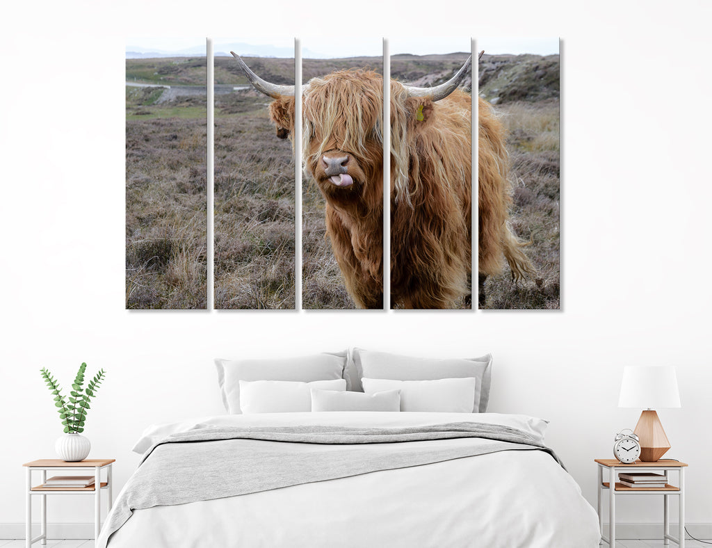 Highland Cow Wall Decor