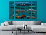 Animal Size Comparison Canvas Print #8084
