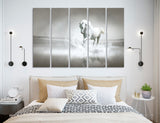 White Horse Canvas Print #8068