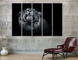 BW Tiger Head Canvas Print #8079