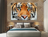 Tiger Head Canvas Print #8003