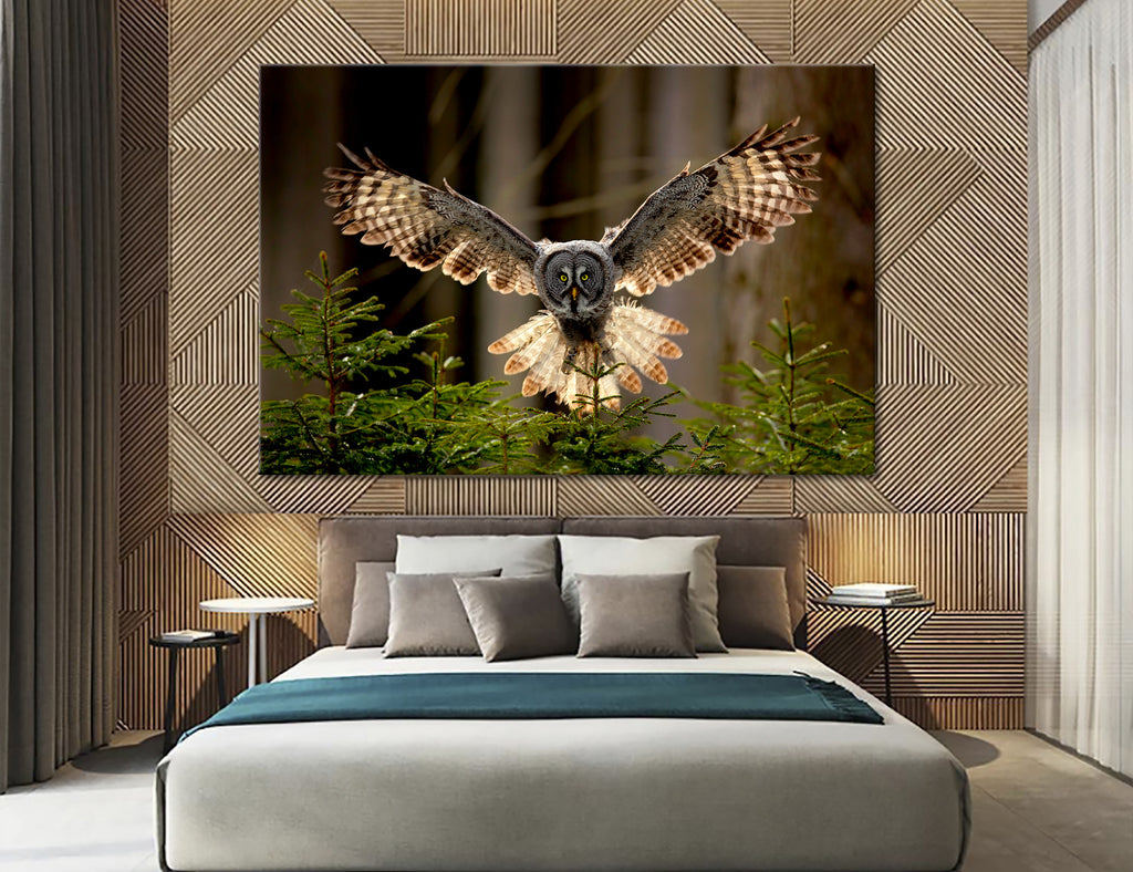 Owl Canvas Print #8015
