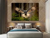 Owl Canvas Print #8015