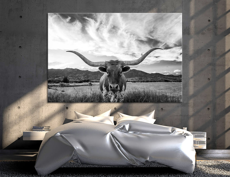 Longhorn Canvas Print - 1 Panel
