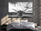 Longhorn Canvas Print - 1 Panel