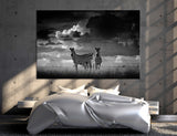BW Nature Africa Canvas Print #8033