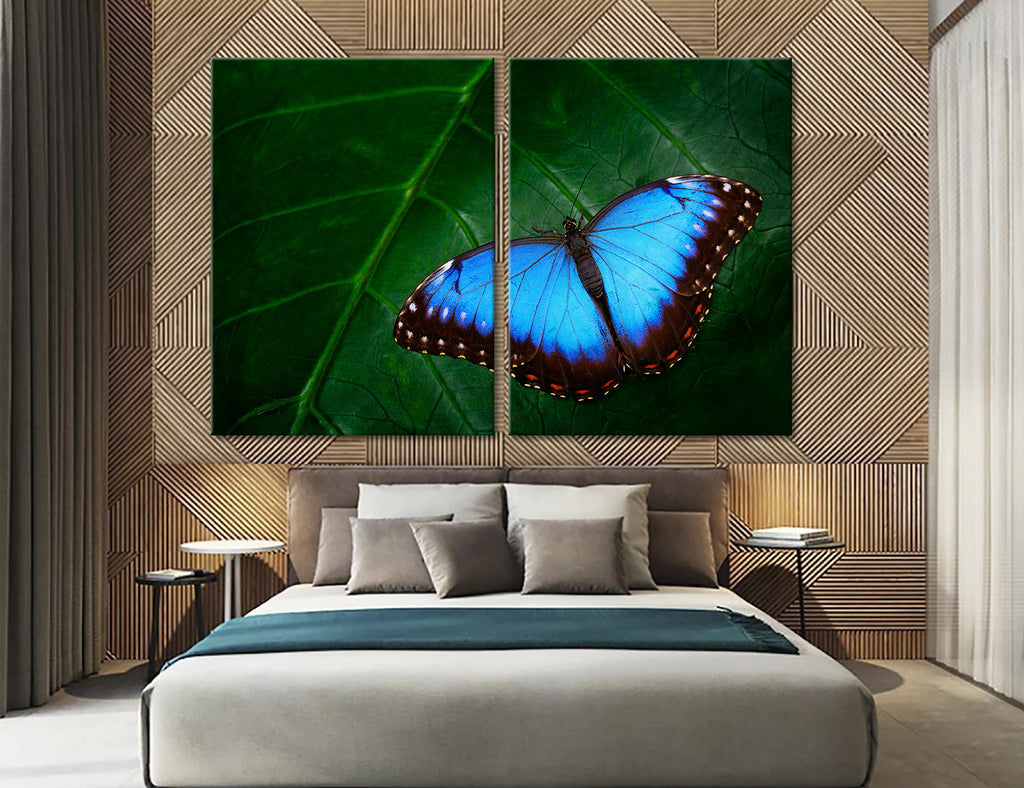 Blue Butterfly Canvas Print #8013