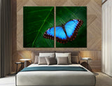 Blue Butterfly Canvas Print #8013