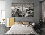 Highland Cow Canvas Print