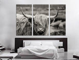 Highland Cow BW Canvas Print
