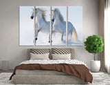White Horses Canvas Print #8060
