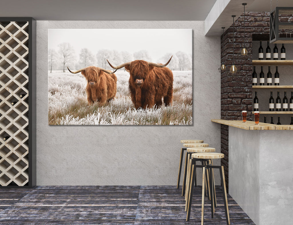 Highland Cattle Decor