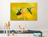 Fluttering Hummingbirds Canvas Print #8039