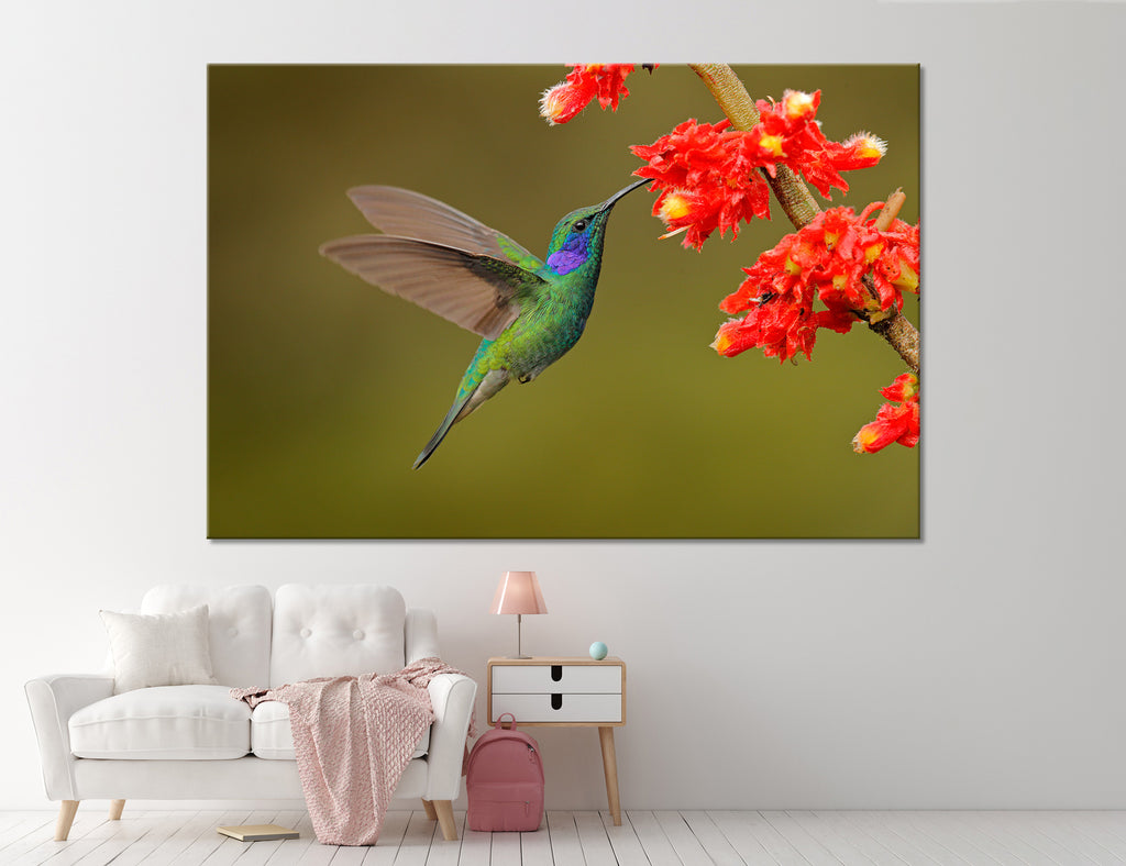 Hummingbird Drinking Nectar Canvas Print #8058
