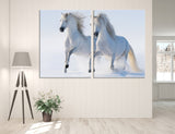 White Horses Canvas Print #8060