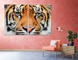 Tiger Head Canvas Print #8003