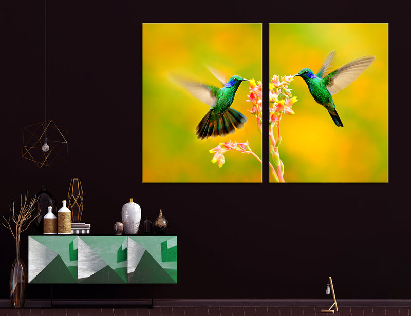 Fluttering Hummingbirds Canvas Print #8039