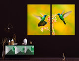 Fluttering Hummingbirds Canvas Print #8039