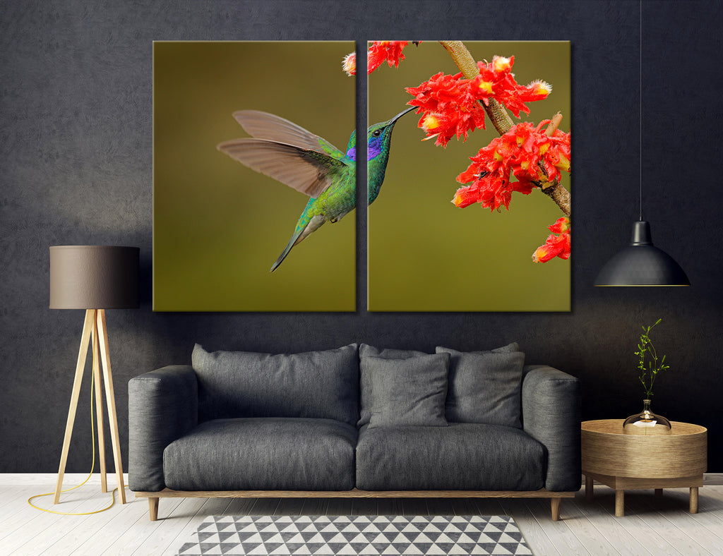Hummingbird Drinking Nectar Canvas Print #8058