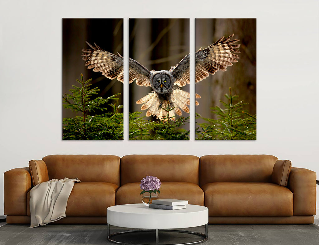 Owl Canvas Print #8015