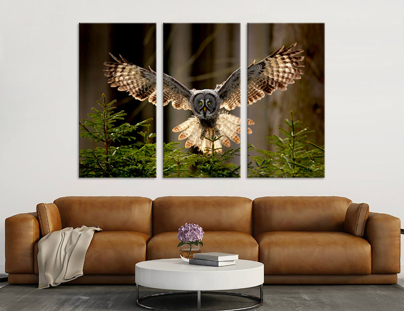 Owl Canvas Print #8015