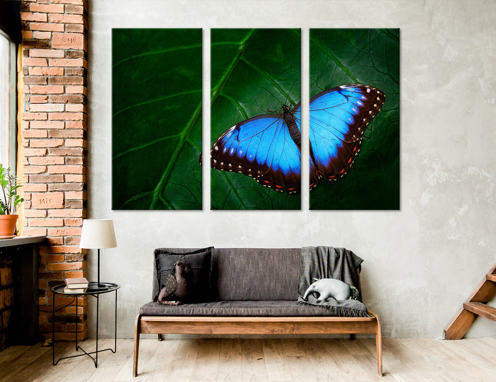 Blue Butterfly Canvas Print #8013