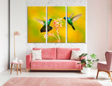 Fluttering Hummingbirds Canvas Print #8039