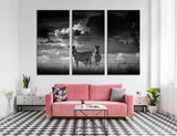 BW Nature Africa Canvas Print #8033