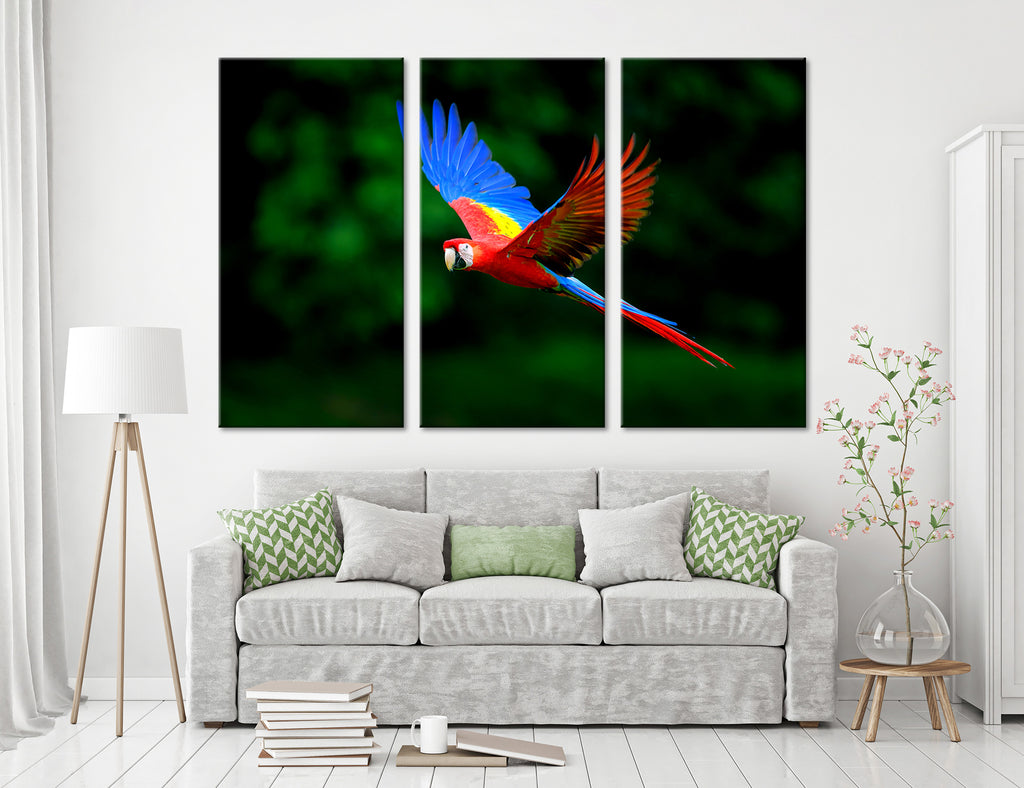 Scarlet Macaw Canvas Print #8029