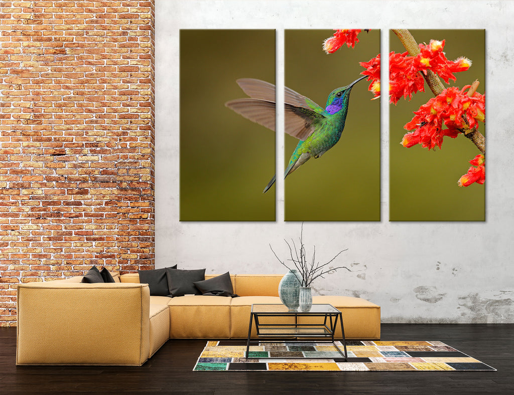 Hummingbird Drinking Nectar Canvas Print #8058