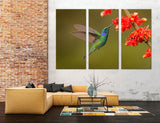 Hummingbird Drinking Nectar Canvas Print #8058