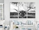 Longhorn Canvas Print - 3 Panels