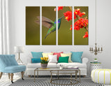 Hummingbird Drinking Nectar Canvas Print #8058