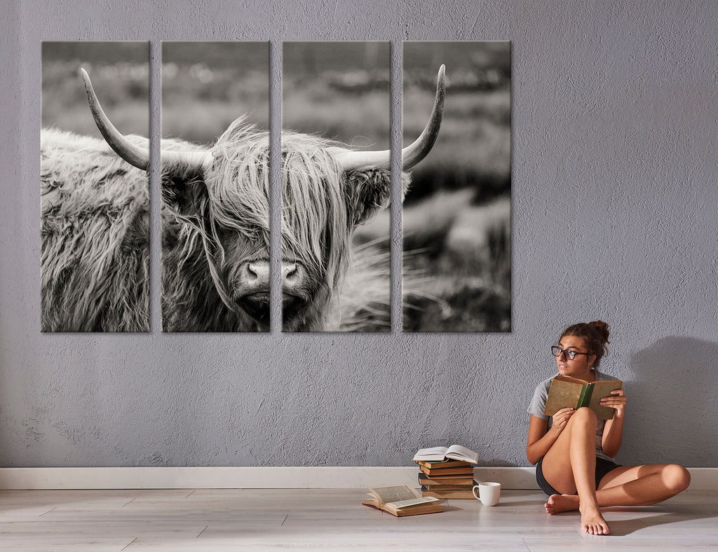 Highland Cow Poster Print