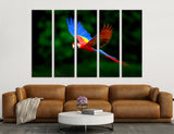 Scarlet Macaw Canvas Print #8029